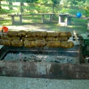 Grillfest 2010